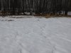 DSCN6795.JPG