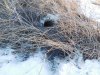 DSCN6803.JPG