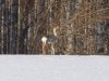 DSCN6806.JPG