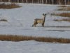 DSCN6812.JPG