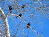 DSCN6819.JPG