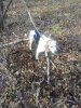 IMG_20211025_102737.jpg