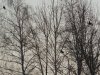 DSCN6848.JPG