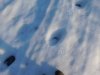 DSCN6860.JPG