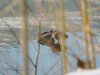 DSCN6881.JPG
