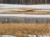 DSCN6910.JPG