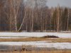 DSCN6916.JPG