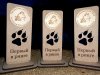 IMG_20220425_162549_629.jpg