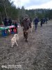 IMG-20220423-WA0113.jpg