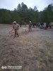IMG-20220423-WA0119.jpg