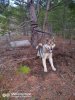 IMG-20220423-WA0123.jpg