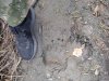 IMG-20220523-WA0005.jpg