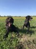 403705E0-C034-4859-AFEC-7B01D612F309.jpeg
