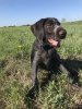 005EAB01-7306-42AC-AC10-50F5CD03D157.jpeg