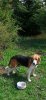 Screenshot_20220614_191317_com.android.gallery3d.jpg