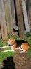 Screenshot_20220614_191302_com.android.gallery3d.jpg