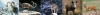ohota.png