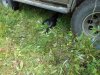 DSCN2536.JPG