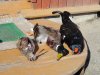DSC00935.JPG