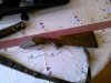 WP_000138.jpg