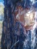 20140921-0004.jpeg