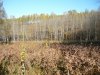 P1050621.JPG
