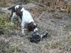 DSCF1161.JPG