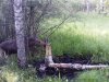 PTDC0671.jpg