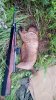 IMG-20220717-WA0074.jpeg