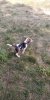 IMG_20220806_102248_1.jpg