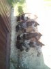 IMG-20220817-WA0001.jpg