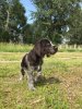 IMG-20220817-WA0007.jpg
