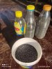 IMG_20220831_174352.jpg