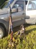 IMG_20220806_082417.jpg