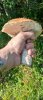 IMG-20220830-WA0013.jpg