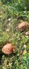 IMG-20220830-WA0012.jpg