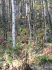 IMG_20220921_084322.jpg