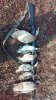 IMG-20220831-WA0006.jpeg