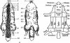 b00000149 (1).jpg