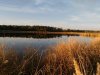P_20220923_175651.jpg