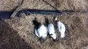 IMG-20221001-WA0003.jpeg