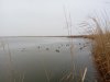 IMG_20211031_111820_1.jpg