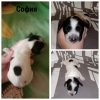 MyCollages (3).jpg