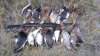 IMG-20221005-WA0004.jpeg