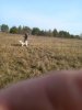 20221008_110040.jpg