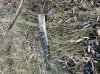 267C00BB-C625-4EF1-A027-99B7161ED67E.jpeg
