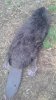 20221014_081036.jpg
