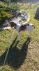 IMG-20221014-WA0005.jpeg