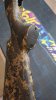 IMG-20221029-WA0026.jpeg