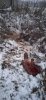 IMG-20221104-WA0010.jpg